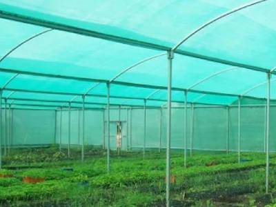 Shade Nets